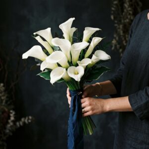 Alegría Floral